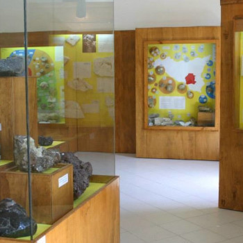 cover Museo naturalistico del comprensorio calatino e della riserva naturale orientata Bosco di Santo Pietro